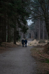 Couple wandering in the forrest