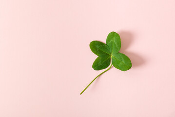 A four leaf clover on pink background. Good for luck or St. Patrick's day. Shamrock, symbol of...