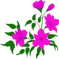 flower and leafs decorative in vector