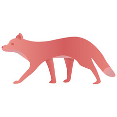 The red fox is walking animal isolated