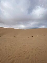 Fototapeta na wymiar Desert Sand Dunes Cloduy