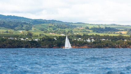 Voilier ou bateau &agrave; voiles qui navigue en Guadeloupe 