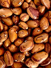 Legumes are healthy