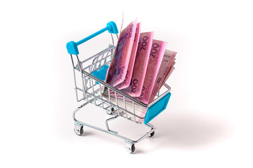 Ukrainian hryvnia in a grocery cart on a white isolated background.The concept of a rise in the...