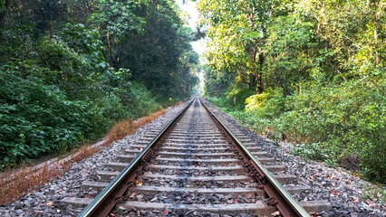 La voie ferrée sur le chemin de la cascade Dudhsagar, South Goa, INDE