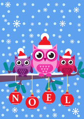 Noel Owls