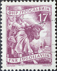 Yugoslavia - circa 1951: a postage stamp from Yugoslavia, showing a Farmwoman with cattle