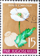 Yugoslavia - circa 1955: a postage stamp from Yugoslavia, showing Plants of Nature: Opium Poppy...