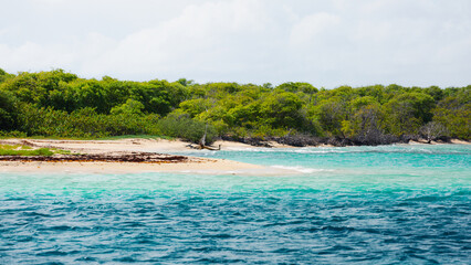 Plage paradisiaque sur l'Île de la Petite-Terre en Guadeloupe