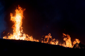 night fire in the woods