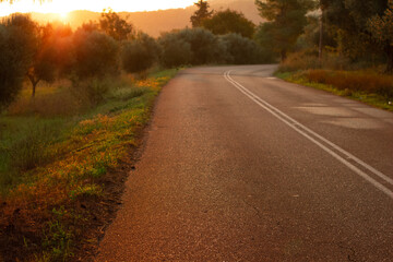 foreground asphalt texture focus on road outskirts rural environment of sun set evening orange lighting park outdoor scenery
