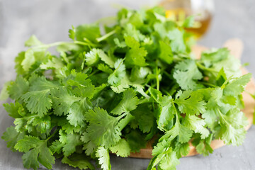 green coriander on wooden board with knife