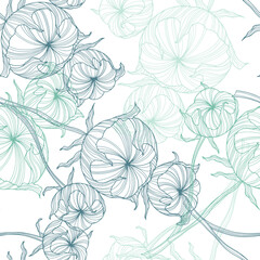 Pattern with flower. Vector hand drawn
