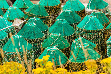 Crab nets pots, Grates Cove, Newfoundland