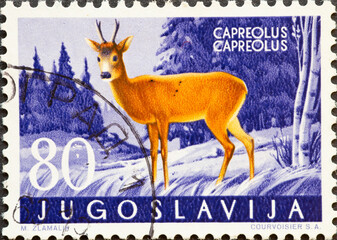Yugoslavia - circa 1960 : a postage stamp from Yugoslavia, showing a wildlife: Roe Deer (Capreolus...