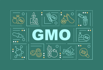 GMO word concepts dark green banner. Genetically modified organism. Infographics with icons on color background. Isolated typography. Vector illustration with text. Arial-Black font used