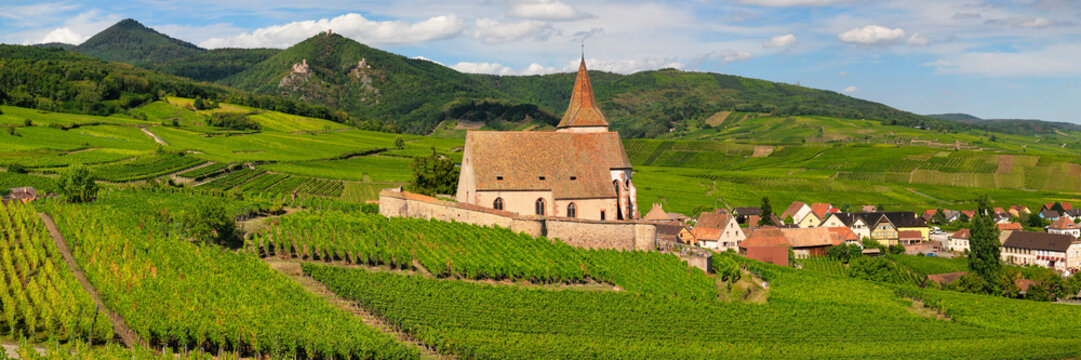 Fortified church of Saint Jacques, Hunawihr, Alsace, Alsatian Wine Route, Haut-Rhin, France