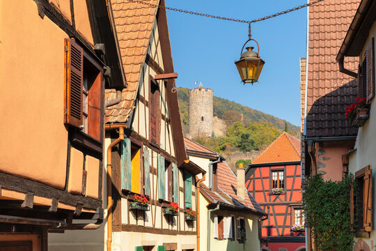 Half-timbered houses and castle, Kaysersberg, Alsace, Alsatian Wine Route, Haut-Rhin, France