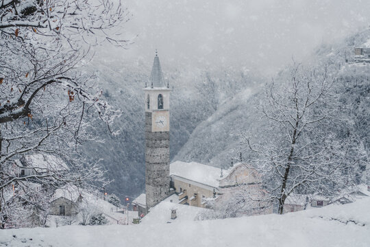 Winter snowfall over trees and old bell tower at Christmas, Sacco, Val Gerola, Valtellina, Sondrio province, Lombardy, Italy