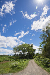 Obraz premium 田舎の小路 