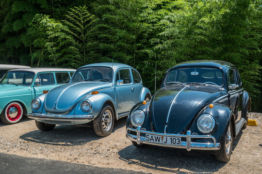 Gainesville, Georgia USA - June 13, 2020 Restored VW bug and beetle cars