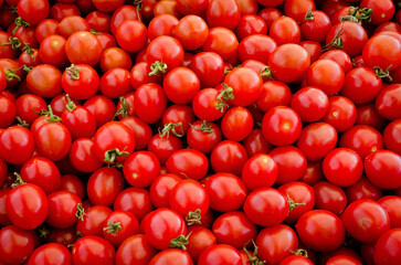 Tomatos © Jonas
