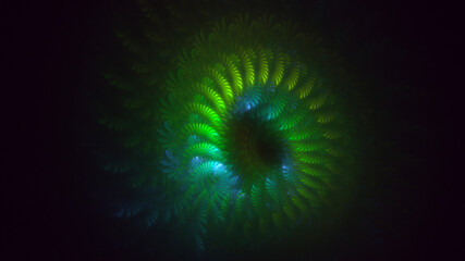 3D rendering abstract colorful fractal light background