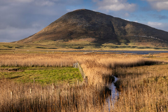 Northton Reed Beds backed by Ceapabhal, near Scarista, Isle of Harris, Outer Hebrides, Scotland