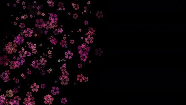 舞い落ちる桜模様アニメーション　黒背景　コピースペース