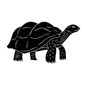black turtle walking on white background clip art preview