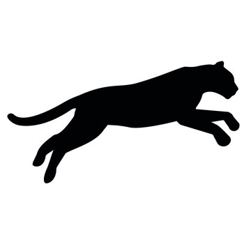Vector flat leopard silhouette isolated on white background