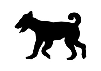 Black dog silhouette. Running airdale terrier puppy. Bingley terrier or waterside terrier. Pet animals. Isolated on a white background.