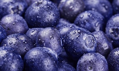 Very Peri color of the year 2022. Blueberries fresh and ripe