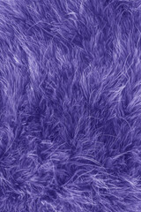 White fluffy feathers on blur background. New 2022 trending PANTONE 17-3938 Very Peri color