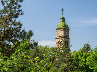 Clock tower in pine forest
