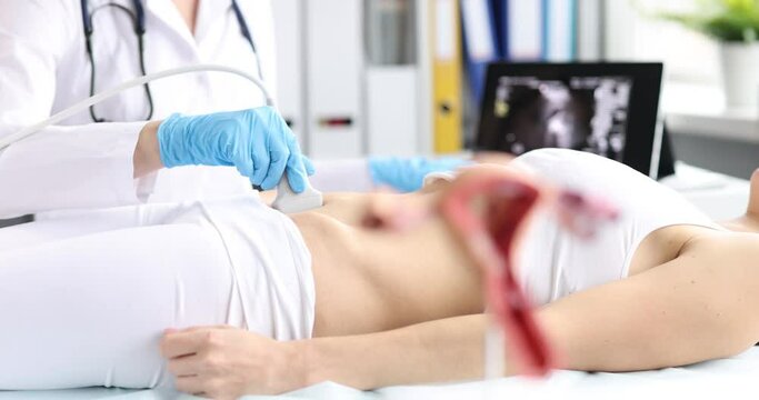 Doctor doing pelvic ultrasound to woman patient in clinic 4k movie