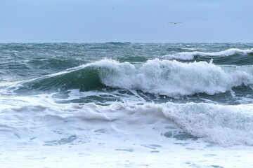 seascape wave crest with white foam on the horizon background