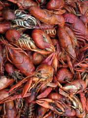 Crawdad party