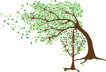 Obraz premium Trees& leaves