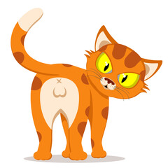 Red cat stands backwards on a white background. Character