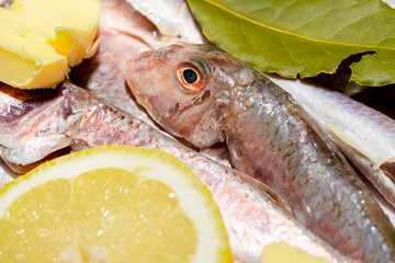 Ready to cook red mullet fish