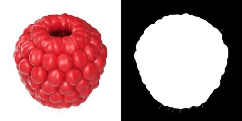 3D rendering illustration of a raspberry - obrazy, fototapety, plakaty