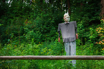 scare crow object of rural agricultural environment space in garden back yard, spring time season, palisade unfocused foreground