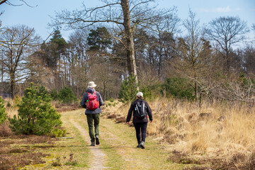Fototapeta premium Elderly couple hiking in Nature park Adderveen near Appelscha in Denthe The Netherlands