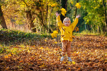 Happy little boy lift arms throwing yellow leaves