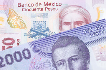 A macro image of a pink, plastic fifty peso bank note from Mexico paired up with a purple, plastic two thousand Chilean peso bank note.  Shot close up in macro.