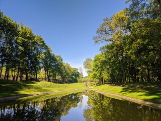 Green park and trees with a pond. Landscape