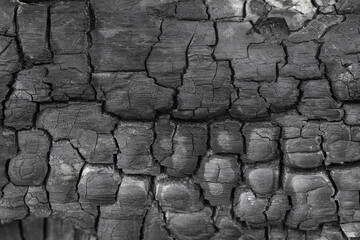 Burned carbonized wood texture surface details closeup