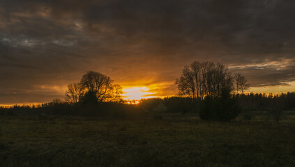 Fototapeta na wymiar Glorious sunset through clouds over field and trees silhouettes