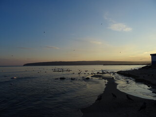 VARNA - BG sunset and swans